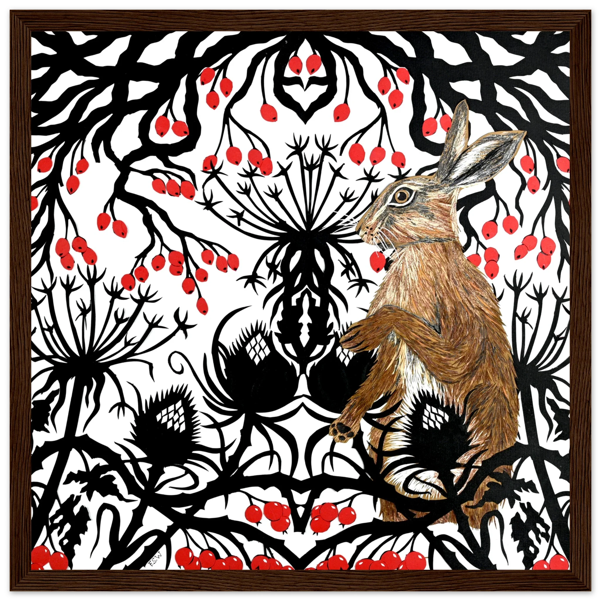 Seasons of the Hare